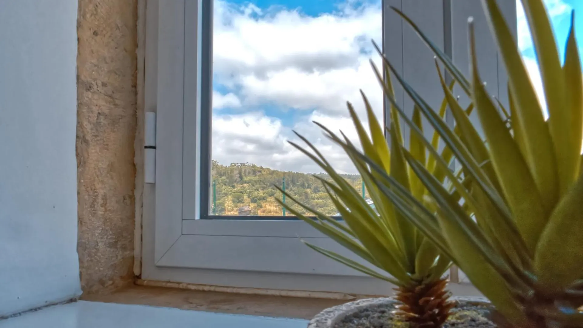 Vita Portucale ! Stylish Apartment Campo Ourique Lisboa