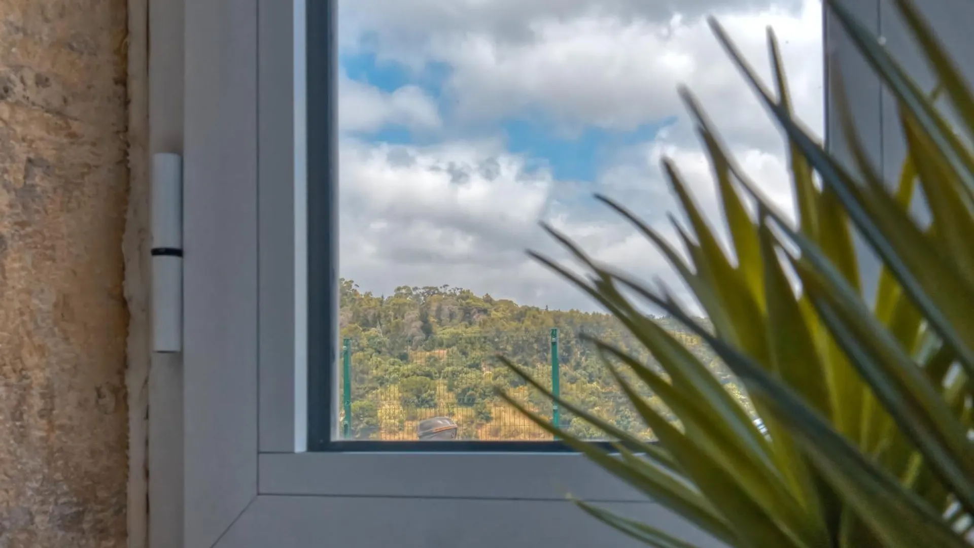 Vita Portucale ! Stylish Apartment Campo Ourique Lisboa