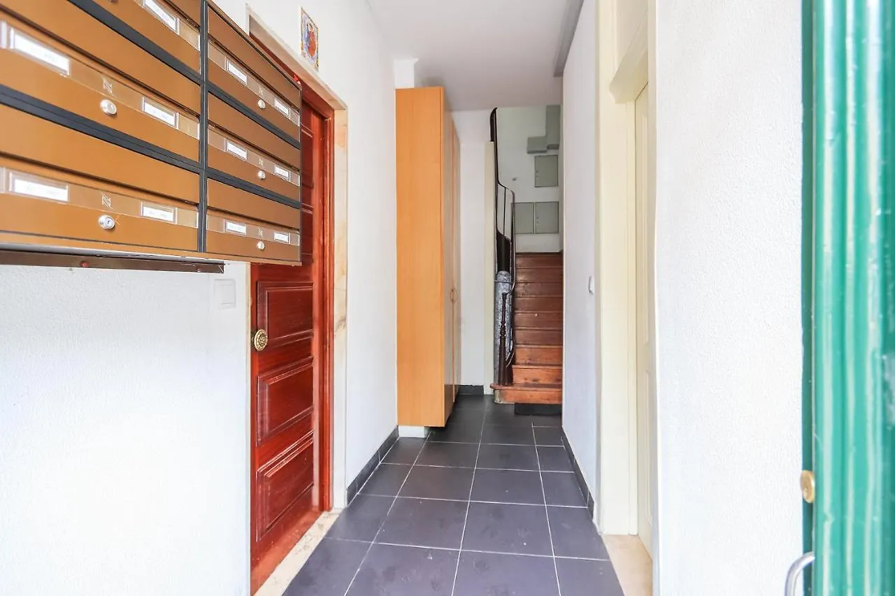 Vita Portucale ! Stylish Apartment Campo Ourique Lizbona